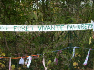 foret de romainville 6 11 2018 (3)