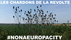 191003les-chardons-de-la-revolte-1024x576